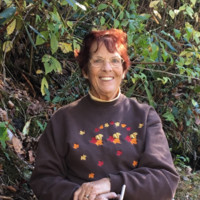 Lynn Paolillo