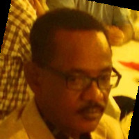 Mohamed Eisa