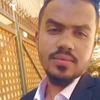 Mohamed Ibrahim