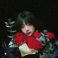 Di Wen