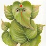 Abhi Tomar