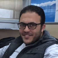 Elsayed Elmorsy