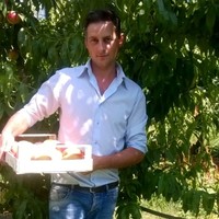 Simone Zannoni