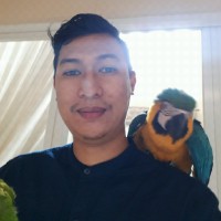 Fachry Rizki