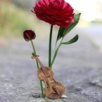 Sudarshan Reddy