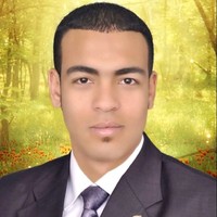 Moamen Abd El Raouf
