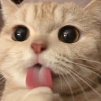 罗子剑
