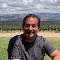 Marcelo Blois