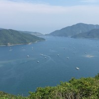 上野裕也