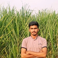 Abul Hassan