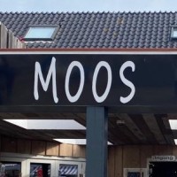 Rob Van Moorselaar