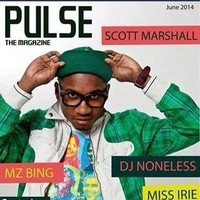 stefan paul williams