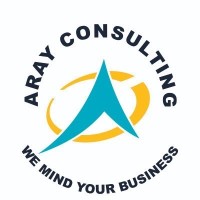 Aray Consulting