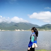 王巧莉