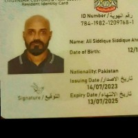 ali siddique