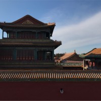 杨佳辉