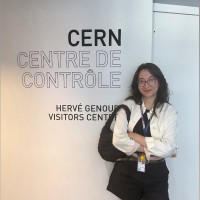 Emine Selin Akcan