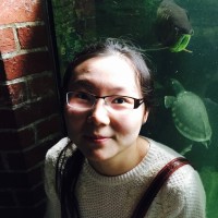 Songbai Wang