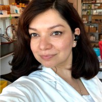 Darya Safavian, Phd, Msc