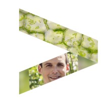 Gé Jacobs