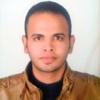 Sameh Ahmed Masry