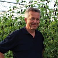 Gerrit Van Den Hoek