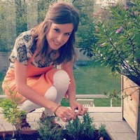 Ann Welvaert
