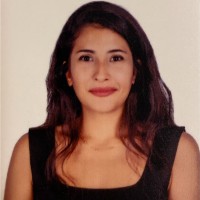 Ebru Ulus
