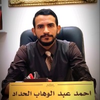 Ahmed Elhadad