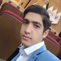 Mahdi Heidari Kia