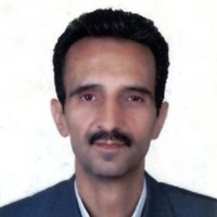 Mohamad Reza Mansournia