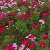 潘光振