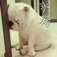 叶文武