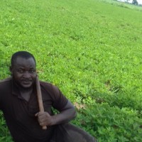 Lassana Koné