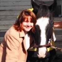 Donna Lang