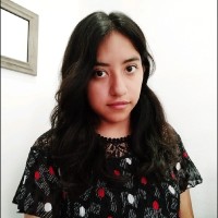 Norma Laura Mejia Morales