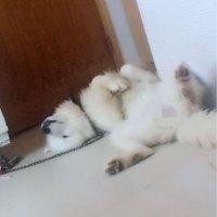 翁建达