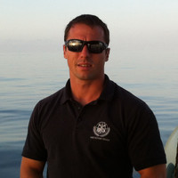 Marc Taylor