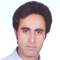 mojtaba shahbolaghi