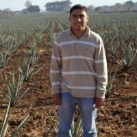 Mario Gutierrez Velasco