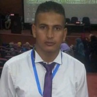 Elsayed Mohammed Mohamed Ali
