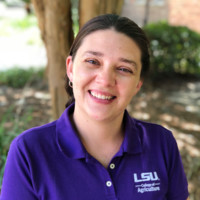 Brittany Foster, Msc, Phd, Hcld