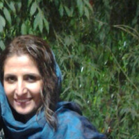 Mahrokh Mohammadi Far