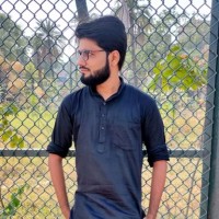 Syed Zaigham Abbas