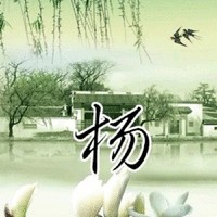 杨东雪