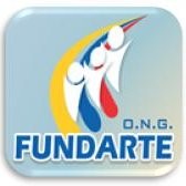 ONG FUNDARTE ORG