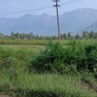 Vivek Vivek