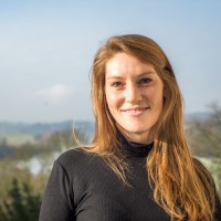 Rosa De Witte