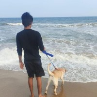 Surya K