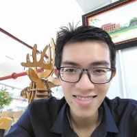 Ho The Vinh